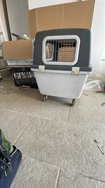 Kennel