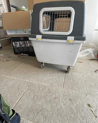 Kennel