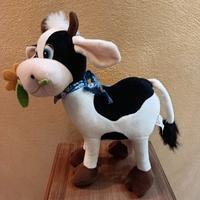 mucca con margherita 