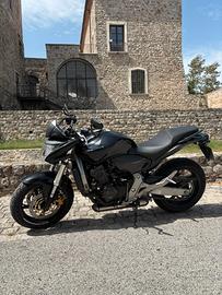 Honda hornet