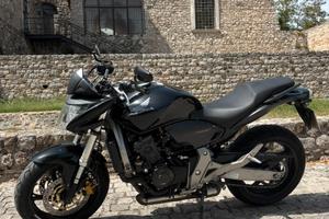Honda hornet