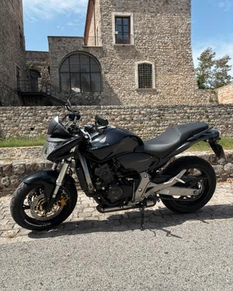 Honda hornet