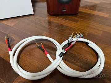 Coppia cavi potenza Chord Odyssey 4 in argento