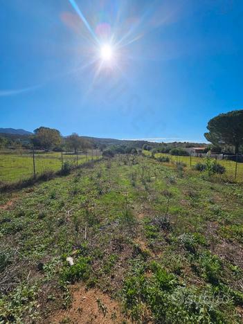 Quartucciu: Terreno agricolo di 1875 mq