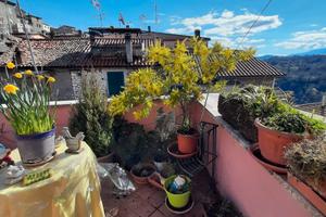 Casa cielo terra Segni (Roma)