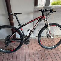 Mtb bottecchia gavia 29’’