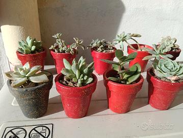 regali di natale piante 