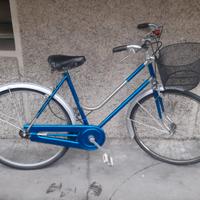 donna ragazza 26 con cestino pronta all'uso 