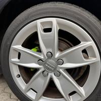 Carchi audi 17