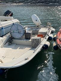 BOSTON WHALER 15 SPORT + Suzuki 40/60 HP