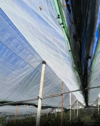 Nylon copertura impianto agricolo