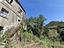 Immagine 9