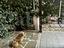 Immagine 12