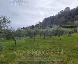 Terreno Agricolo Buccino [A4300022]