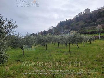 Terreno Agricolo Buccino [A4300022]