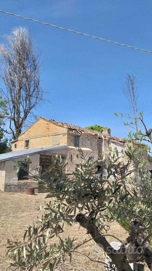 Terreno+Casa da ristrutturare - Vista 4