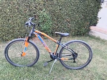 Mountain bike 