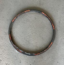 Coppia di cerchi semza raggi Ktm