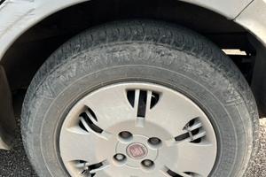 Cerchi e gomme panda