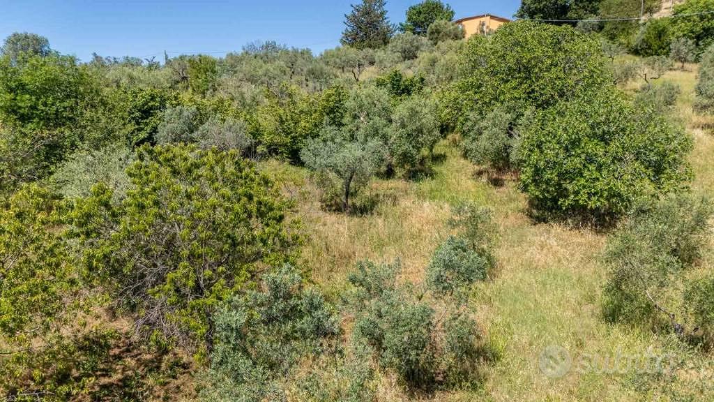 Terreno di 5460 m² a Salisano - Altro