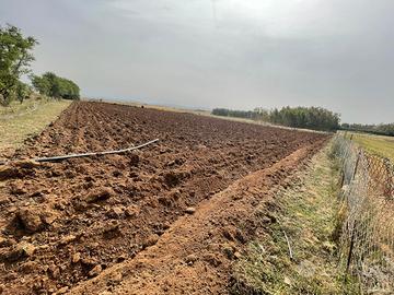 Terreno agricolo