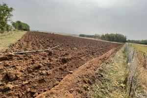 Terreno agricolo