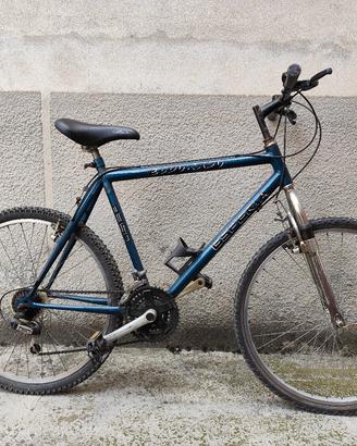 Mountain bike
