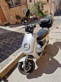 NIU  M+Sport