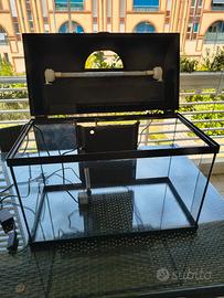 acquario per pesci