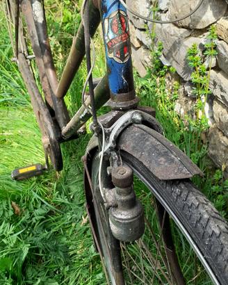 bicicletta Pavese anni cinquanta modello donna 