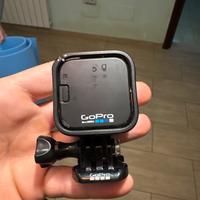 go pro