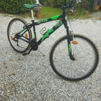 Bici MTB Daytona Wild