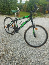 Bici MTB Daytona Wild