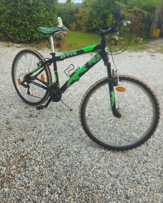 Bici MTB Daytona Wild