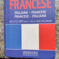 Dizionario tascabile italiano-francese