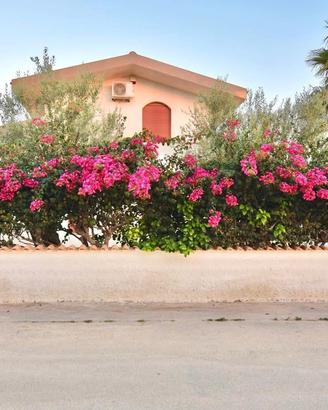 Casa per vacanze zona Marzamemi, San Lorenzo