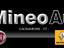 Immagine 19