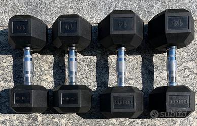 Manubri per fitness 