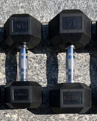 Manubri per fitness 