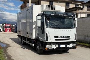 Eurocargo 120el22 e6 frigo e ped mt 5.90 frax 2026