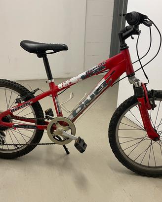 Bici 20 mtb