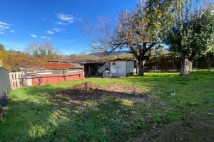 RUSTICO A PALESTRINA