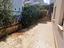 Immagine 29