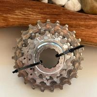 campagnolo Titanium 10v