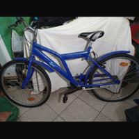 Bici baci baci