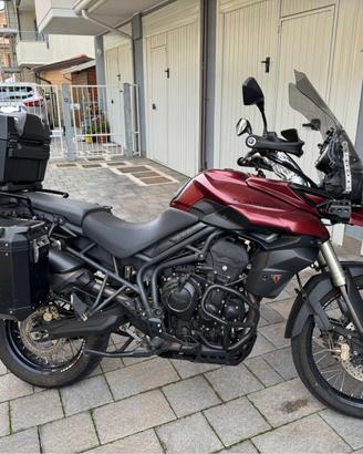 Triumph Tiger XC 800 Abs