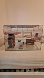 gabbia per criceti, topi,gerbilli ecc.
