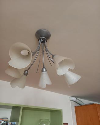 coppia di lampadari 6 luci