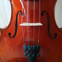 VIOLINO di LIUTERIA