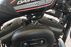 HD Sportster 883R